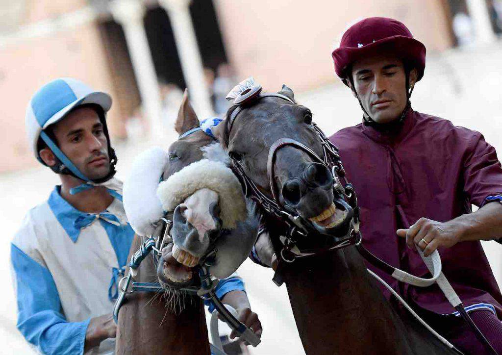 Palio di Siena 2020 annullato a causa dell'emergenza Coronavirus (Getty Images)