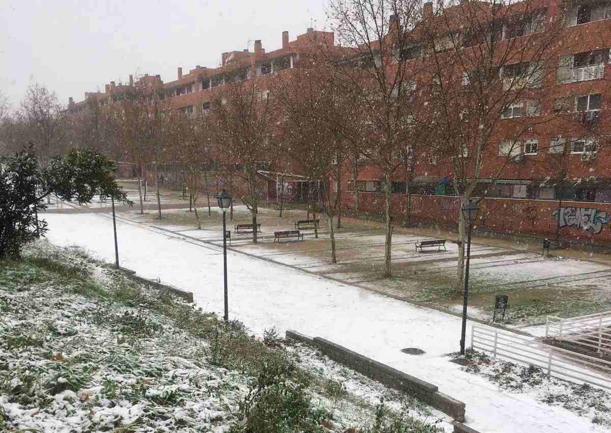 neve madrid 