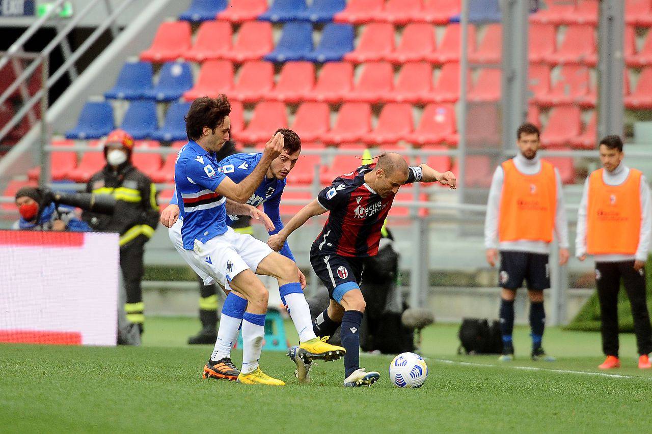 Bologna Sampdoria Highlights