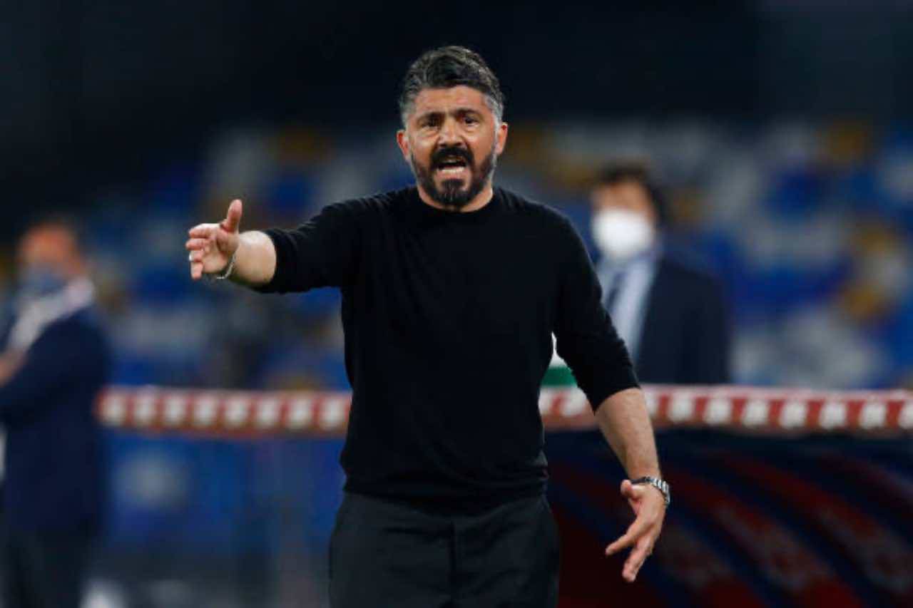 Gattuso Fiorentina 