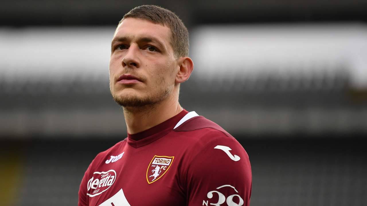 Belotti