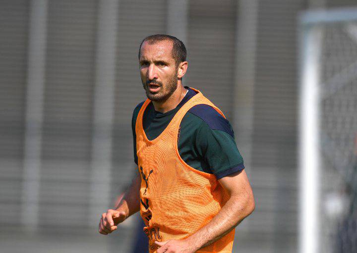 giorgio chiellini