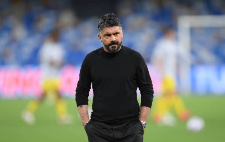 Gattuso Fiorentina