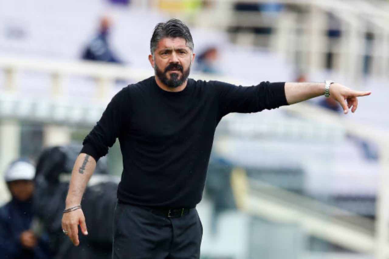 Gattuso Fiorentina 