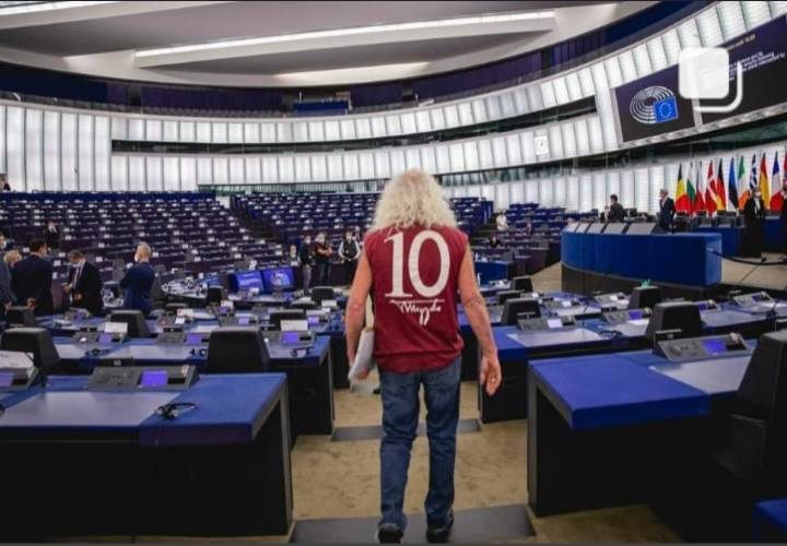 Mick Wallace Torino Parlamento europeo