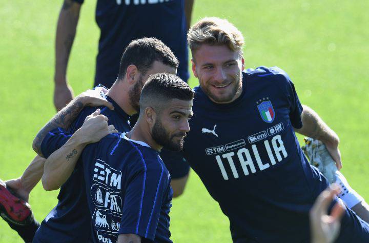 immobile insigne