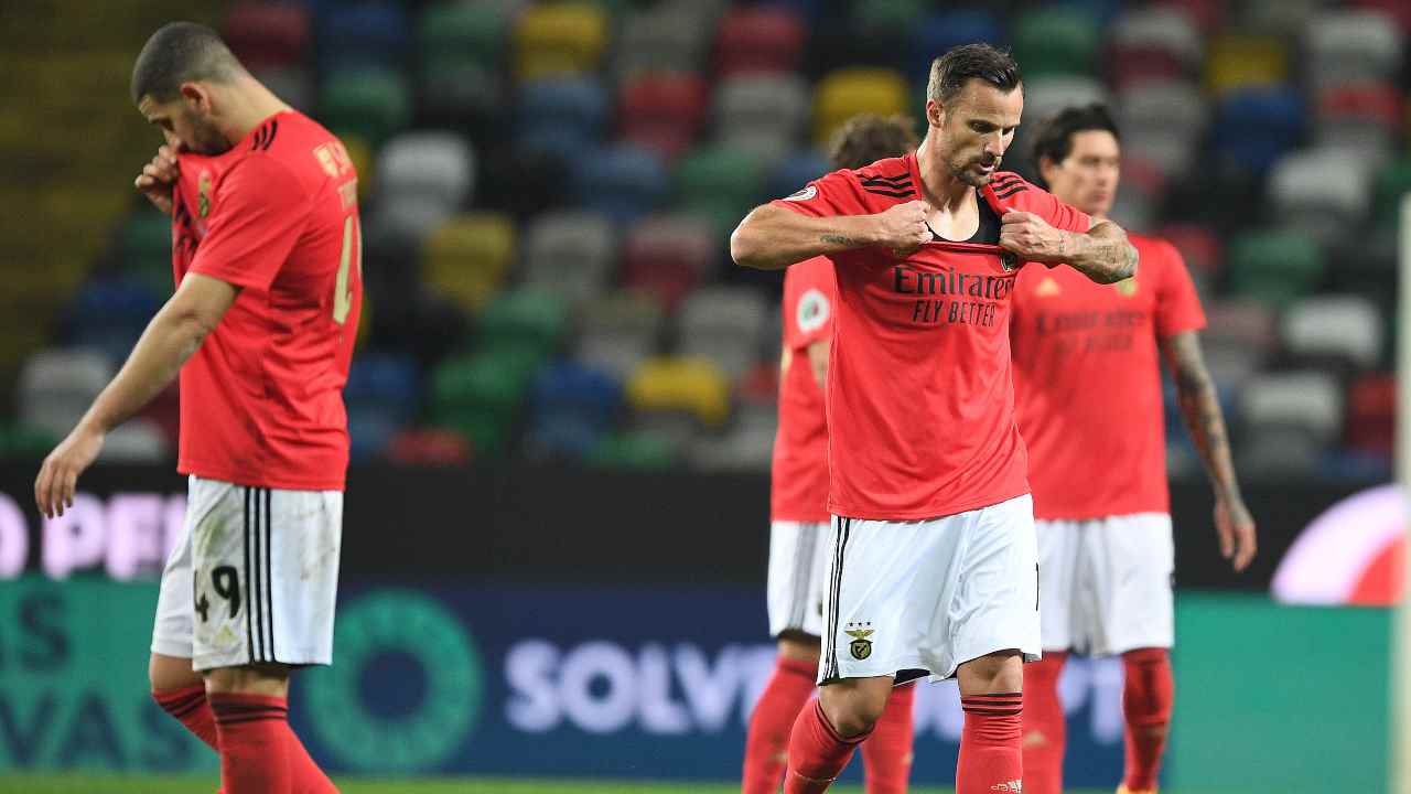 presidente benfica