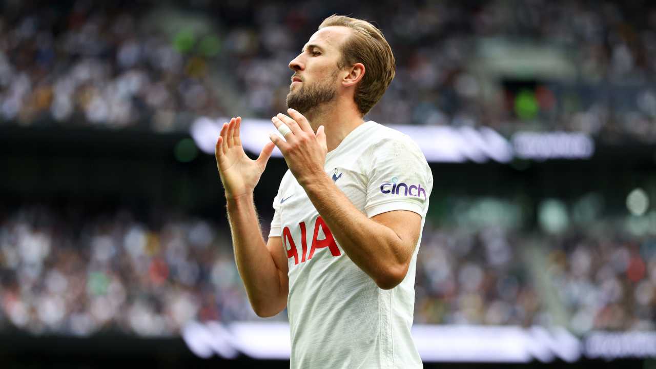 kane tottenham