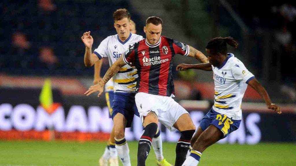 Bologna-Verona highlights