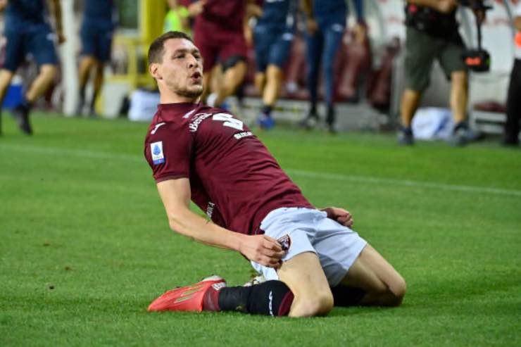 Belotti 