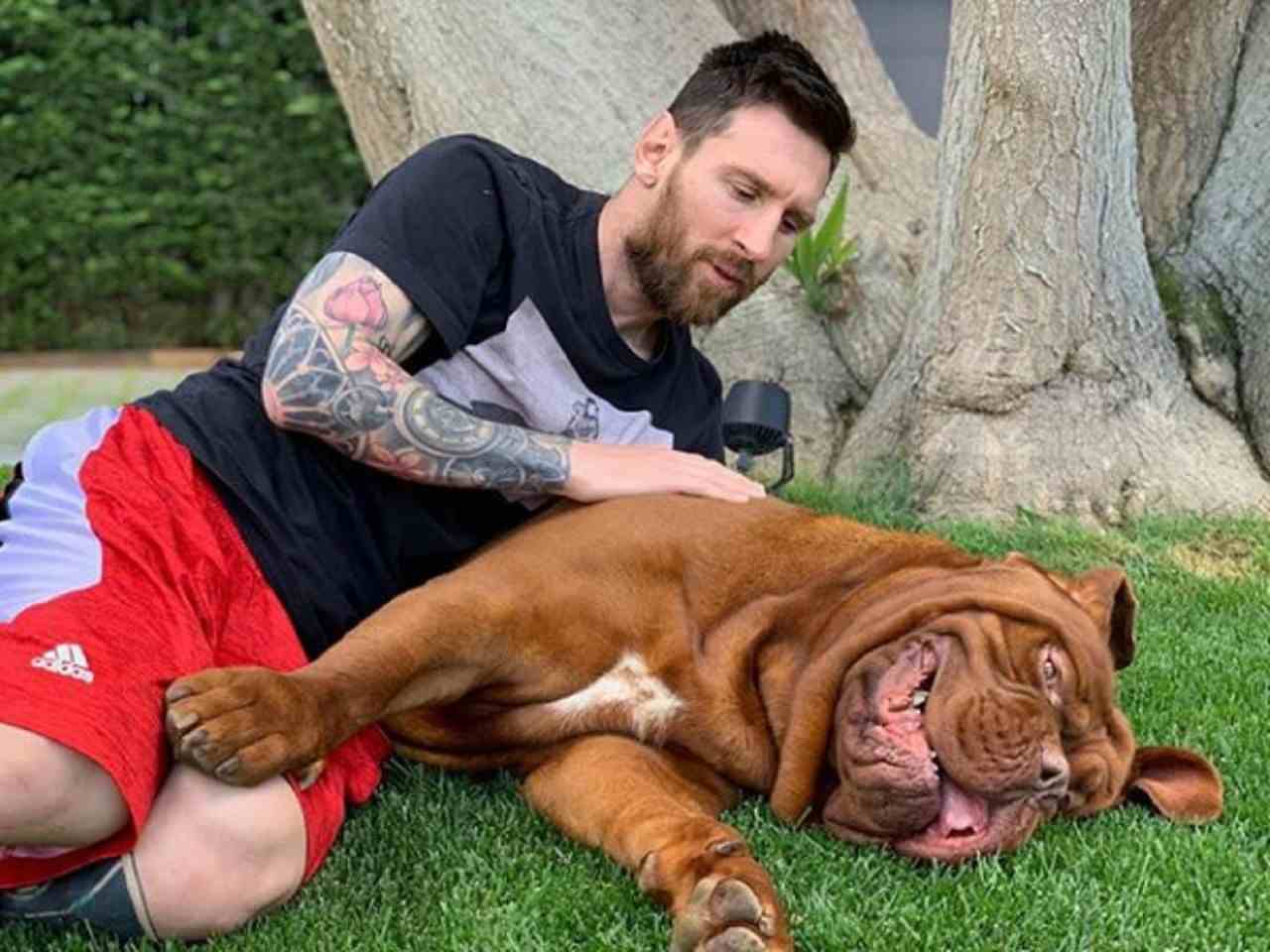 Messi, sai quanto ha speso per il suo cane? La cifra è da record