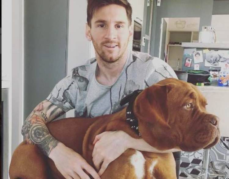 Leo Messi, quanto costa il suo cane: la cifra sorprende