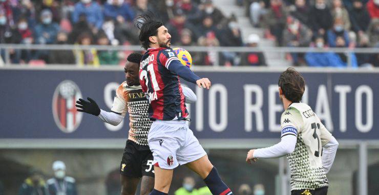 Highlights Bologna-Venezia