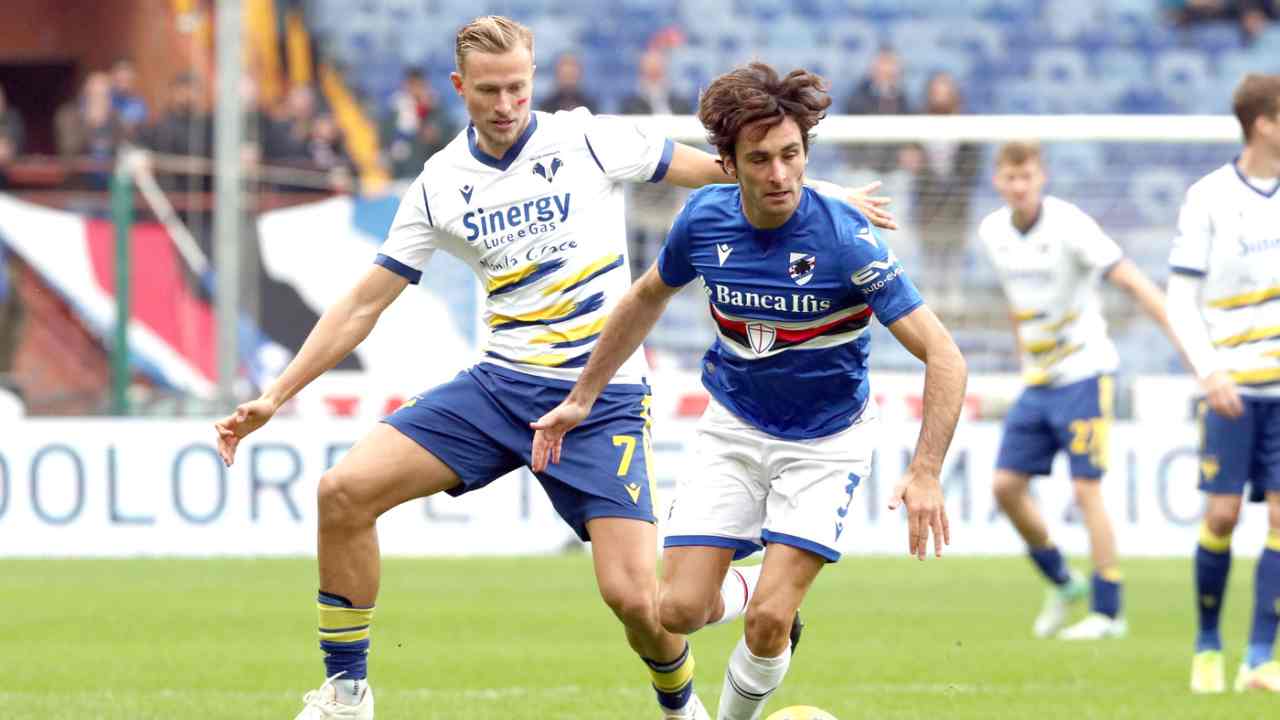 highlights Sampdoria-Verona