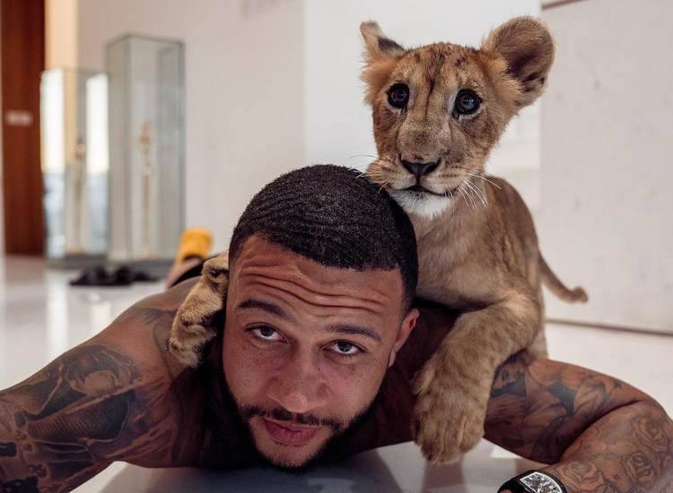 Animale depay ligre