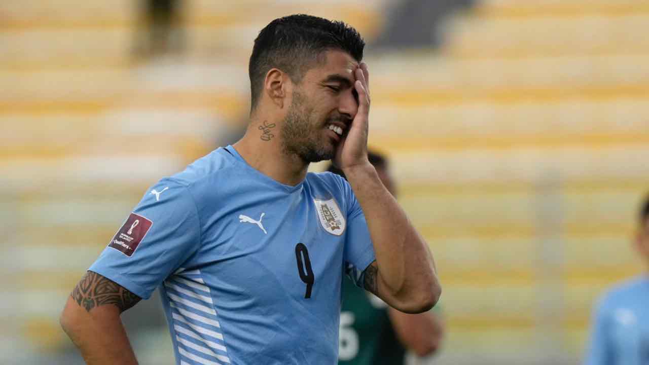 Luis Suarez Perugia indagini