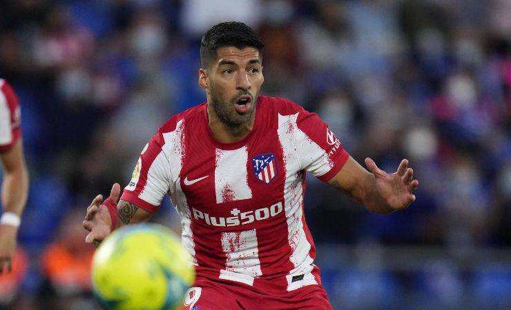 Suarez, attaccante Atletico (Lapresse) 