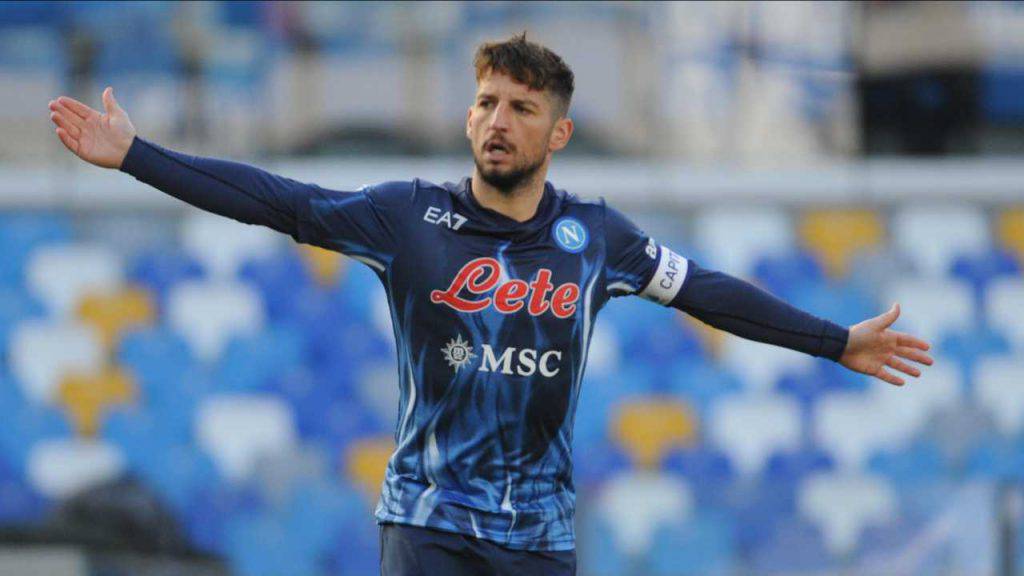 Dries Mertens moglie kat 