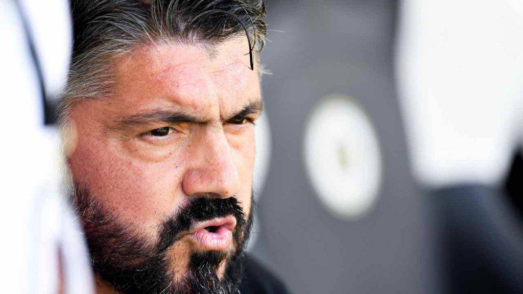 Gattuso futuro