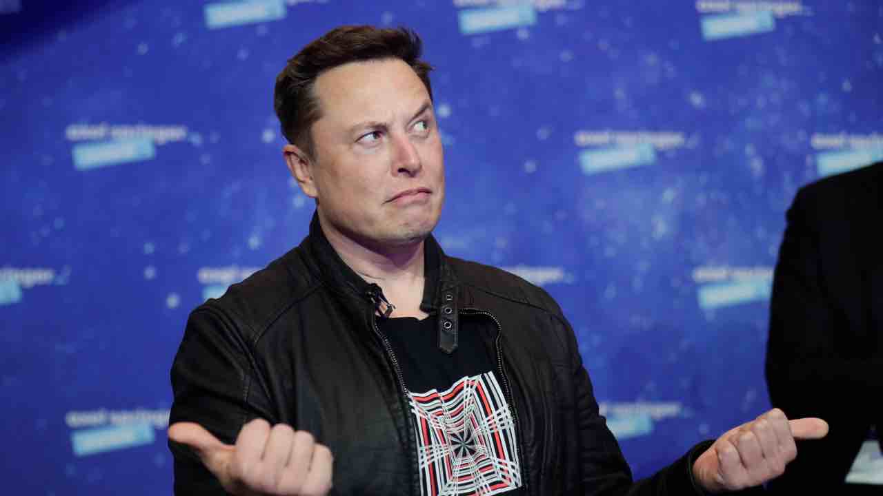Elon Musk novità