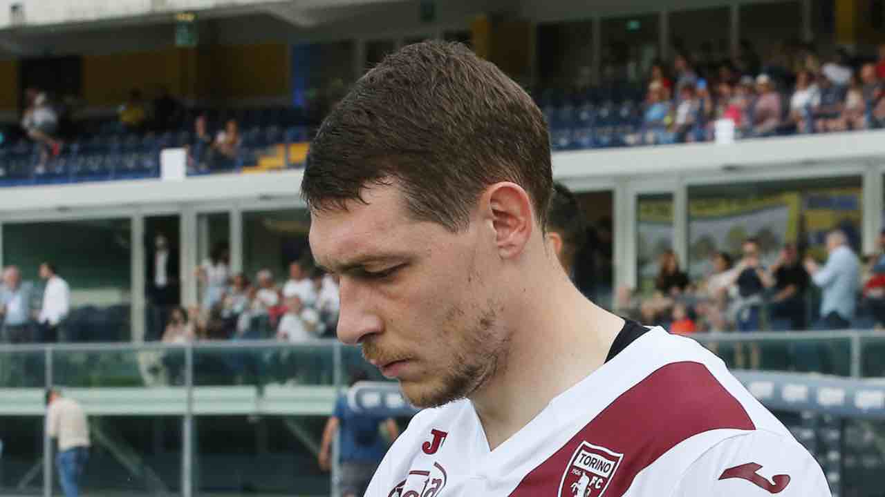 Belotti Torino