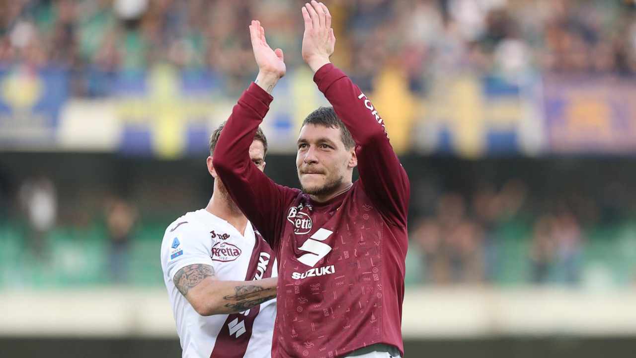 Belotti