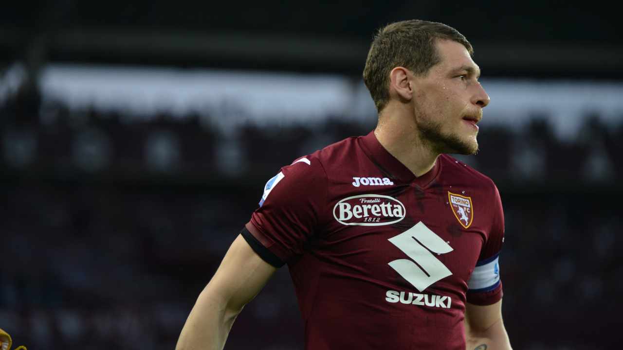 belotti