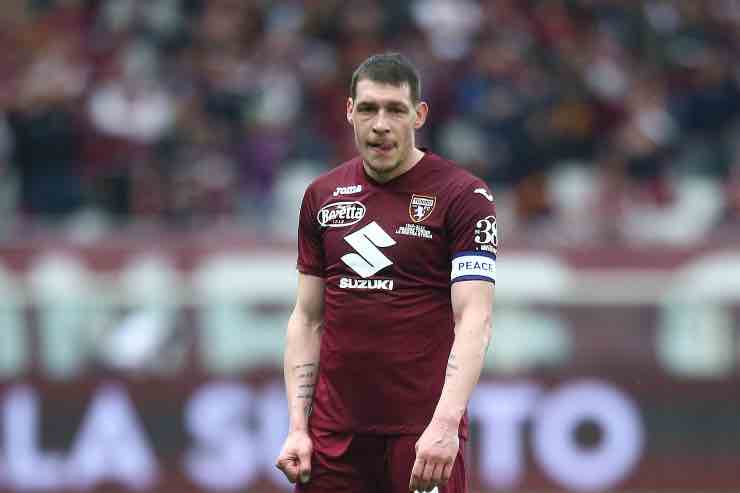 Belotti