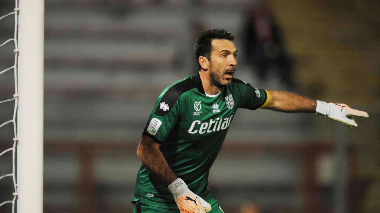 buffon