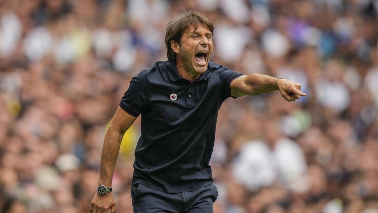 Conte