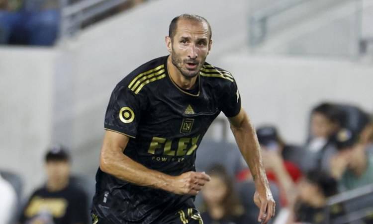 Chiellini MLS