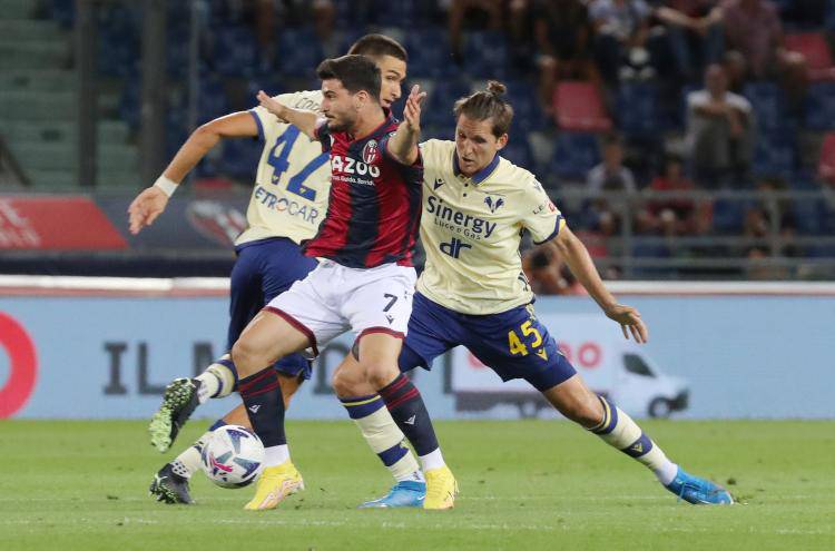 Bologna-Verona, la sintesi della partita