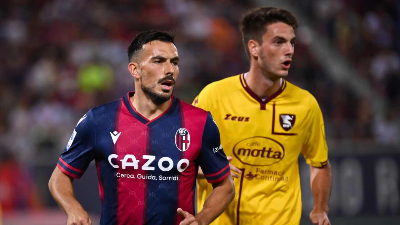 Bologna Salernitana Highlights