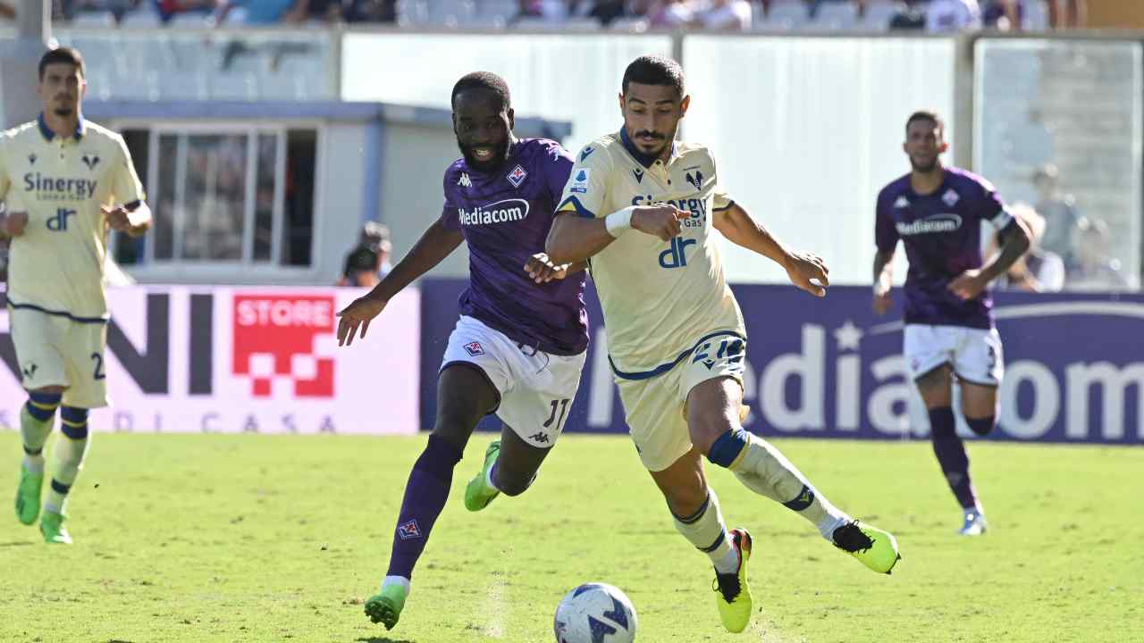 Serie A, highlights Fiorentina-Verona: gol e sintesi partita