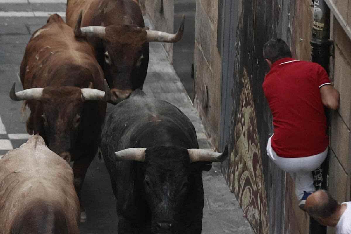 Paura in campo: un toro si libera