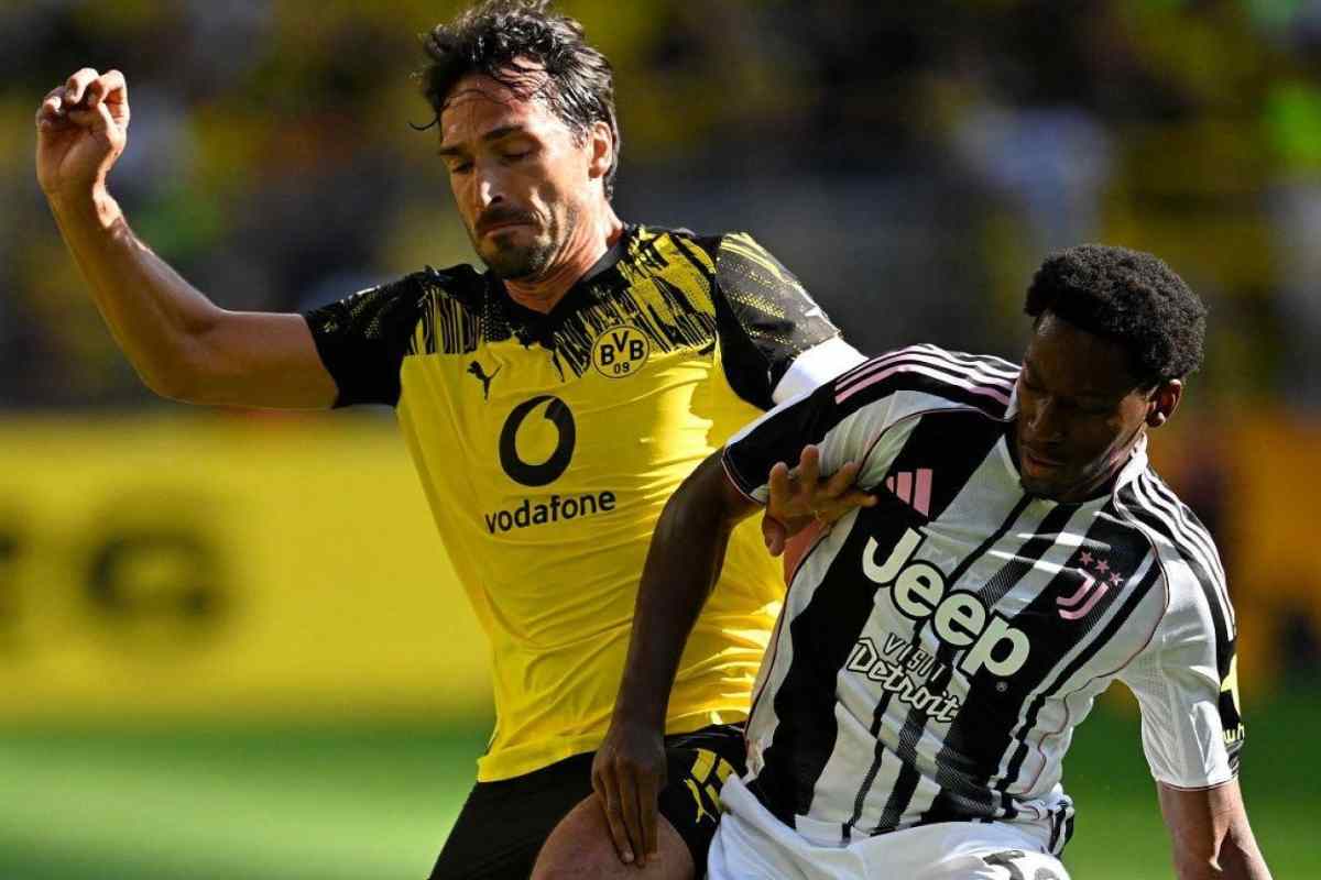Hummels David