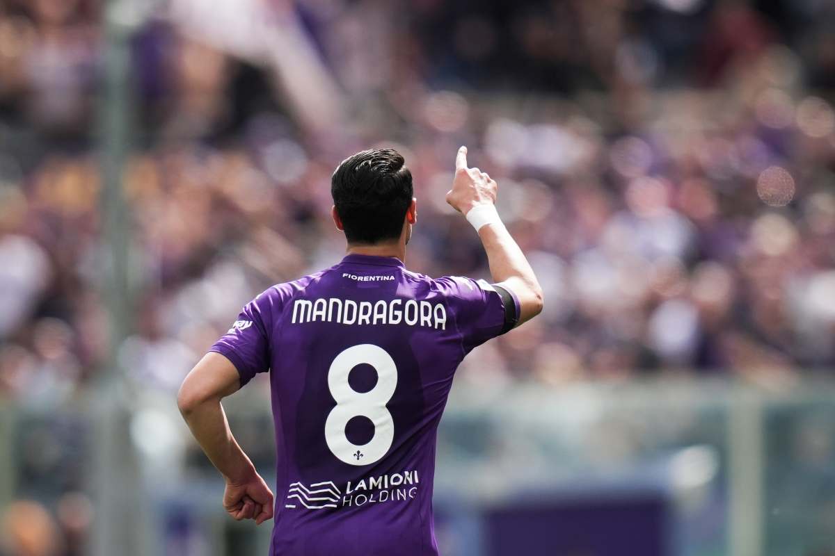 Mandragora Milan